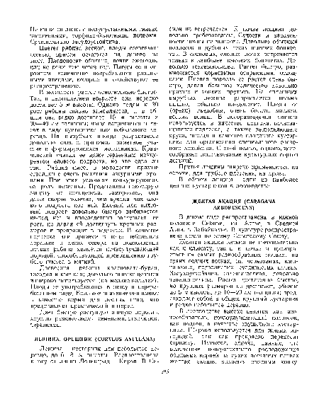 Прутья лещины широко применяются на обручи, для грубого плетения, на дрова.