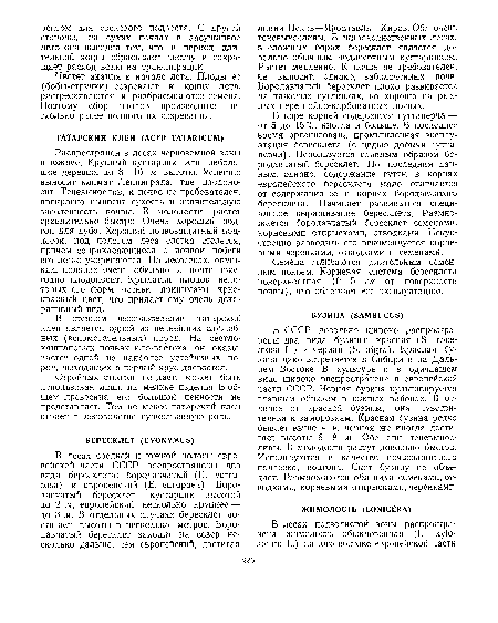 Цветет акация в начале лета. Плоды ее (бобы-стручки) созревают к концу лета, растрескиваются и разбрасываются семена. Поэтому сбор плодов производится несколько ранее полного их созревания.