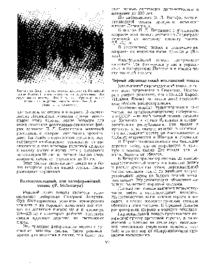 Родиной этого тополя является тихоокеанское побережье Северной Америки. При благоприятных условиях приморского климата и на хороших аллювиальных почвах он достигает высоты 60 ж и диаметра 2,0—2,5 м; в некоторых районах считается самым крупным деревом из лиственных пород.