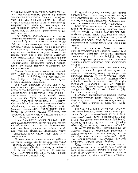 На песках более свежих, при более ровном местоположении, но все же еще бедных влагой, в живом покрове преобладают олений лишайник, толокнянка, вейник, песчаная гвоздика (Dianthus arenarius), плаун (Licopodium complanatum), сон-трава (Anemone patens).