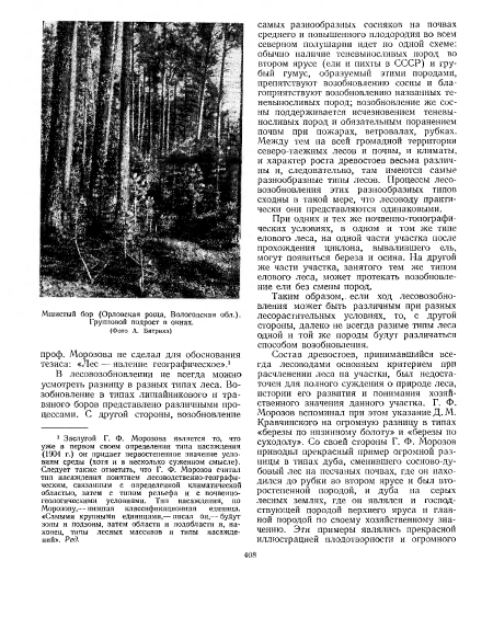 При одних и тех же почвенно-топографических условиях, в одном и том же типе елового леса, на одной части участка после прохождения циклона, вывалившего ель, могут появиться береза и осина. На другой же части участка, занятого тем же типом елового леса, может протекать возобновление ели без смены пород.