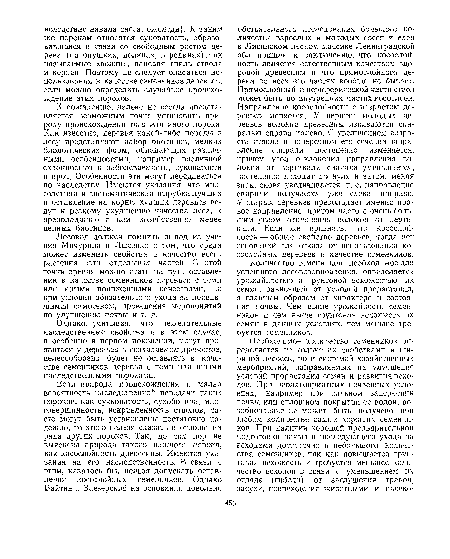 Количество семенников, необходимое для успешного лесовозобновления, определяется урожайностью и грунтовой всхожестью их семян, зависящей от условий прорастания, а главным образом от характера и состояния почвы. Чем выше урожайность семенников и чем выше грунтовая всхожесть их семян в данных условиях, тем меньше требуется семенников.