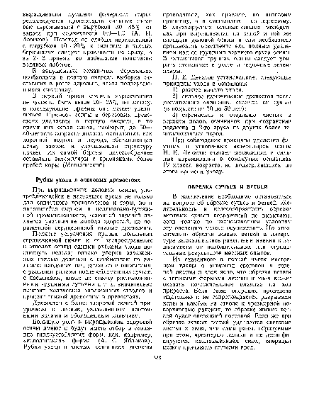 Из сказанного в первой части настоящей главы о значении световой и теневой листвы и хвои ясно, что обрезка ветвей с теневыми формами листвы и хвои может оказать положительное влияние на ход прироста. Если сама операция проведена тщательно и не сопровождается разрывами коры и камбия на стволе и чрезмерной поверхностью ранения, то обрезка живых ветвей будет операцией полезной. Если же при обрезке живых ветвей удаляются световые листья и хвоя, или сами раны, образуемые при этом, чрезмерно велики и не дезинфицируются накладыванием смол, операция может причинить сильный вред.