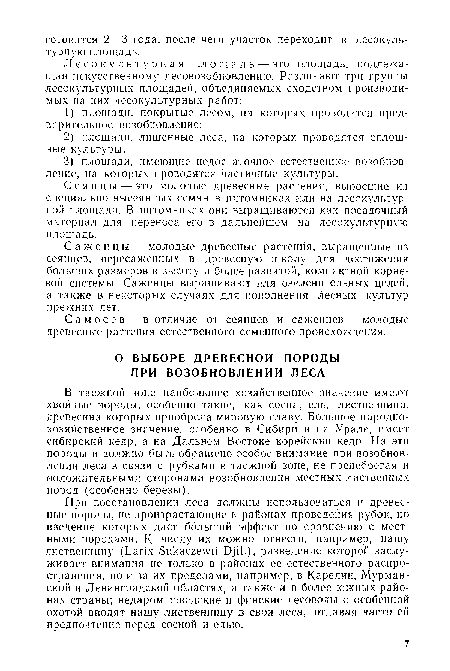 При восстановлении леса должны использоваться и древесные породы, не произрастающие в районах проведения рубок, но введение которых даст больший эффект по сравнению с местными породами. К. числу их можно отнести, например, нашу лиственницу (Ьапх Зикасгеч П 0]П.), разведение которой заслуживает внимания не только в районах ее естественного распространения, но и за их пределами, например, в Карелии, Мурманской и Ленинградской областях, а также и в более южных районах страны; недаром шведские и финские лесоводы с особенной охотой вводят нашу лиственницу в свои леса, отдавая часто ей предпочтение перед сосной и елью.