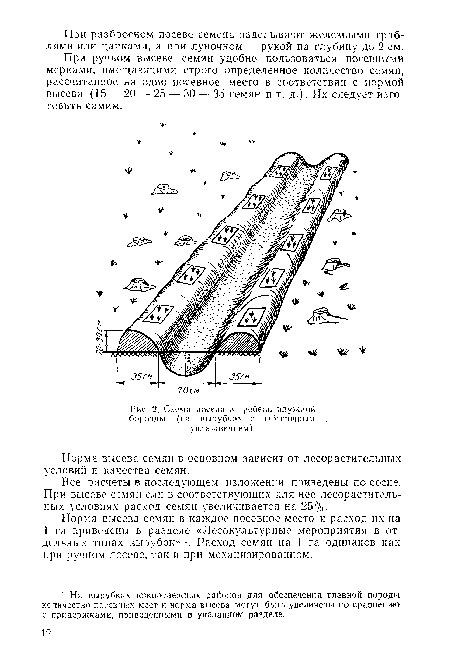 Схема посева в гребень плужной борозды (на вырубках с избыточным увлажнением)