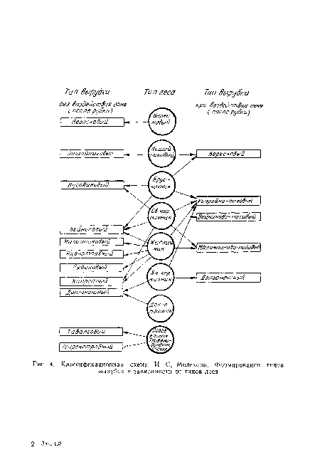 Классификационная схема И. С. Мелехова. Формирование типов вырубок в зависимости от типов леса
