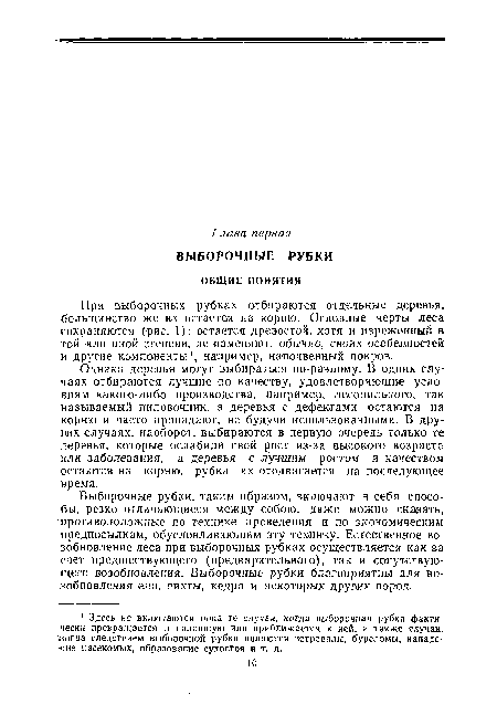 Выборочные рубки, таким образом, включают в себя способы, резко отличающиеся между собою, даже можно сказать, противоположные по технике проведения и по экономическим предпосылкам, обусловливающим эту технику. Естественное возобновление леса при выборочных рубках осуществляется как за счет предшествующего (предварительного), так и сопутствующего возобновления. Выборочные рубки благоприятны для возобновления ели, пихты, кедра и некоторых других пород.