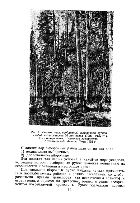 Сосняк-черничник. Емцовское лесничество Архангельской области. Фото 1955 г.