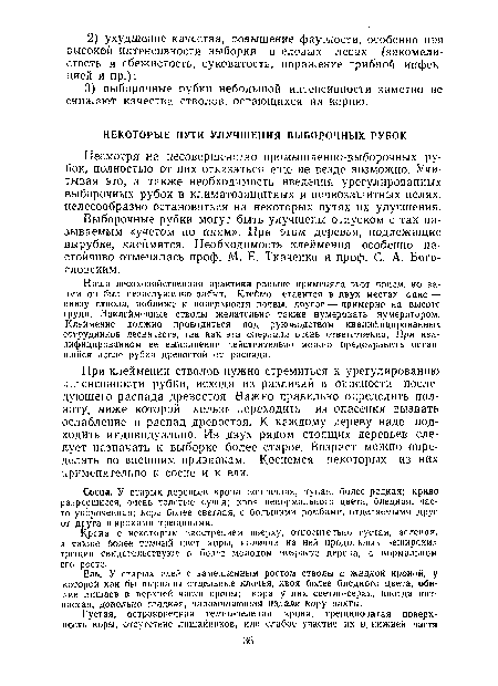 Крона с некоторым заострением вверху, относительно густая, зеленая, а также более темный цвет коры, наличие на ней продольных неширокие трещин свидетельствуют о более молодом возрасте дерева, о нормальном его росте.