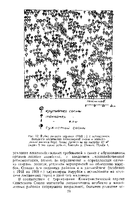 Рубка раннего периода (1935 г.) с оставлением большого количества тонкомерной сосны в мшистолишайниковом бору. Запас древесины на вырубке 62 м3 (через 9 лет после рубки). Бассейн р. Пинеги. Проба 4.