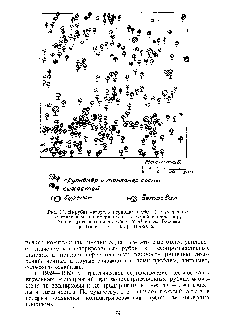 Вырубка «второго периода» (1940 г.) с умеренным оставлением тонкомера сосны в лишайниковом бору.