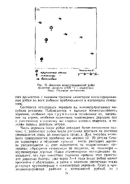 Лесосека концентрированной рубки 10-летней давности (1935 г.) в вересковом бору. Орлецкое лесничество.