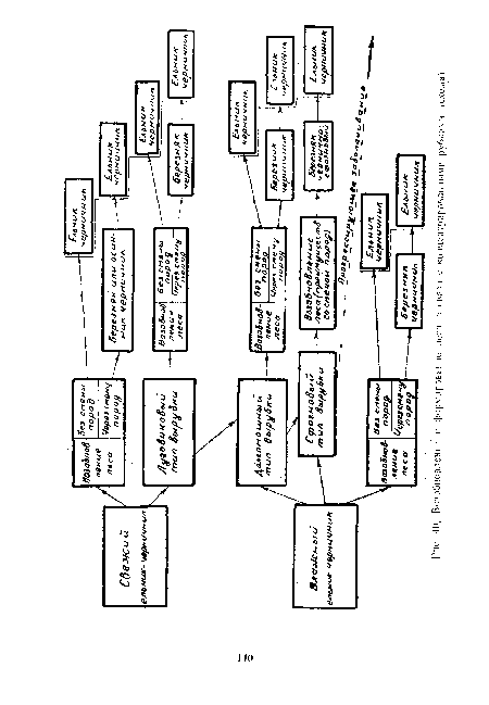 Возобновлемп.  и формирование леса н связи с концентрированными рубками (схема)