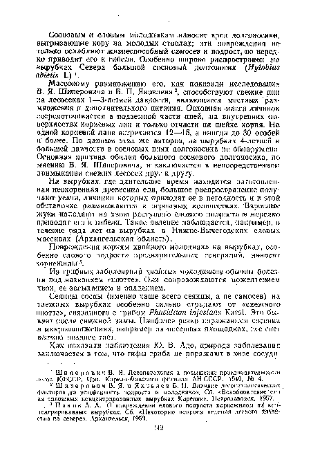 В. Я- Шиперовича и Б. П. Яковлева 2, способствуют свежие пни на лесосеках 1—3-летней давности, являющиеся местами размножения и дополнительного питания. Основная масса личинок сосредоточивается в ¡подземной части пней, .на внутренних поверхностях корневых лап и только отчасти на шейке корня. На одной корневой лапе встречается 12—18, а иногда до 30 особей и более. По данным этих же авторов, на вырубках 4-летней и большей давности в сосновых пнях долгоносика не йбнаружено Основная причина обилия большого соснового долгоносика, по мнению В. Я. Шиперовича, и заключается в непосредственном примыкании свежих лесосек друг к другу.