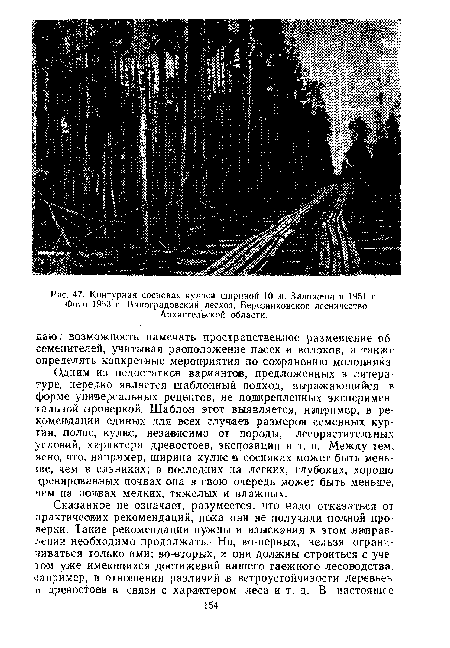 Фото 1953 г. Виноградовский лесхоз, Березннковское лесничество Архангельской области.