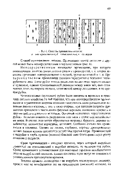 Способ примыкания лесосек. Примыкание одной лесосеки к другой может быть непосредственным и чересполосным (рис. 6).