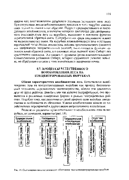 Возможны различные пути естественного возобновления леса па вырубках, их сочетания, варианты (рис. 14).