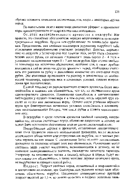 В недорубах и среди остатков древостоя хвойный тонкомер, находящийся под пологам лиственных пород, обычно не плодоносит и поэтому не может быть источником обсеменения, пока не удалят лиственный полог.