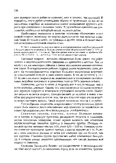 Наибольшую значимость в качестве источника обсеменения имеет еловый подрост, поскольку он широко распространен под пологом в разных типах не только еловых, но сосновых и других лесов и обладает высокой семяпроизводительной способностью.