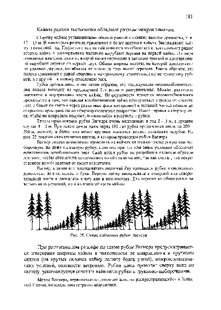 Темпы продвижения рубки Вагнера очень медленные: в год 2 - 3 м, в лучшем случае 4 - 5 м. При таком темпе даже через 100 лет рубка продвинется лишь на 200 -500 м, поэтому в более или менее крупных массивах делают несколько зарубов. На рис. 25 показан схематически массив, в котором проведены рубки Вагнера.