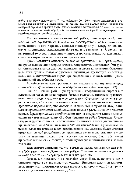 Рубки Филиппа основаны на том же принципе, что и предыдущие, но кроме клиновидной формы лесосек, допускаются и полосные. Эти рубки называются клиновидно-постепенными, а также щипковыми. Основная цель этих рубок - создание здоровых смешанных древостоев из теневыносливых и светолюбивых пород при сохранении или повышении производительной способности почвы.