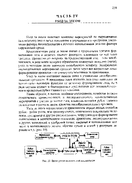 Таким образом, в лесном, особенно интенсивном, хозяйстве должны существовать преемственность и последовательность лесоводственных мероприятий с учетом динамики леса, взаимосвязанности рубок главного пользования и ухода за лесом, единства лесообразовательного процесса.