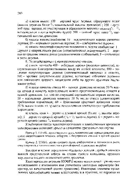 Пример 1. 111445: дерево верхнего яруса, исключительно хорошо развитое, растущее опережающими темпами, отборное, с безупречным стволом и кроной средней длины.