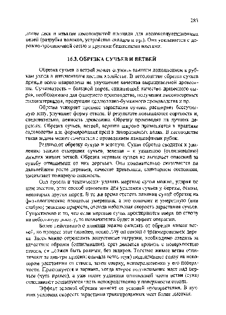 Она проста и технически: удалять мертвые сучья можно, ударяя по ним шестом, этот способ применим для удаления сучьев у березы, осины, некоторых других пород. В то же время степень влияния сухой обрезки на физиологические процессы умеренная, а это означает и умеренную (или слабую) реакцию прироста, отсюда небольшая скорость зарастания сучьев. Существенно и то, что если мертвые сучья простираются вверх по стволу на небольшую высоту, то незначителен будет и эффект операции.