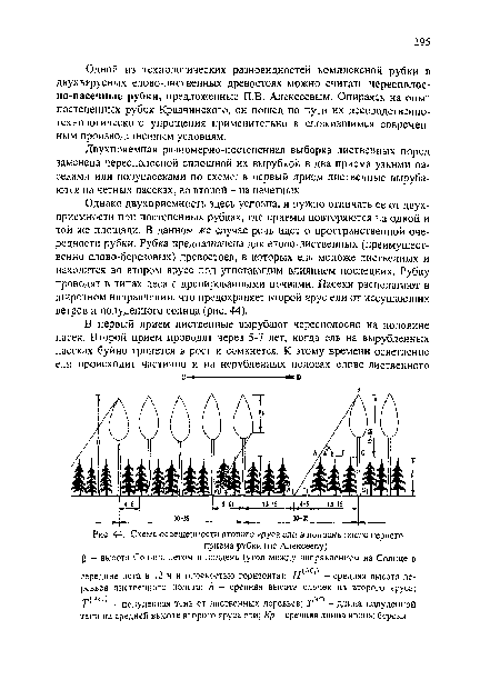 Однако двухприемность здесь условна, и нужно отличать ее от двух-присмности при постепенных рубках, где приемы повторяются на одной и той же площади. В данном же случае речь идет о пространственной очередности рубки. Рубка предназначена для еяово-лиственных (преимущественно елово-березовых) древостоев, в которых ель моложе лиственных и находится во втором ярусе под угнетающим влиянием последних. Рубку проводят в типах леса с дренированными почвами. Пасеки располагают в широтном направлении, что предохраняет второй ярус ели от иссушающих ветров и полуденного солнца (рис. 44).