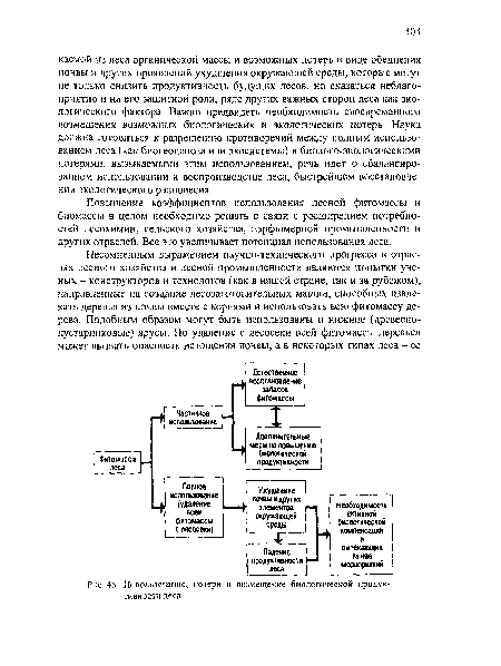 Использование, потери и возмещение биологической продуктивности леса