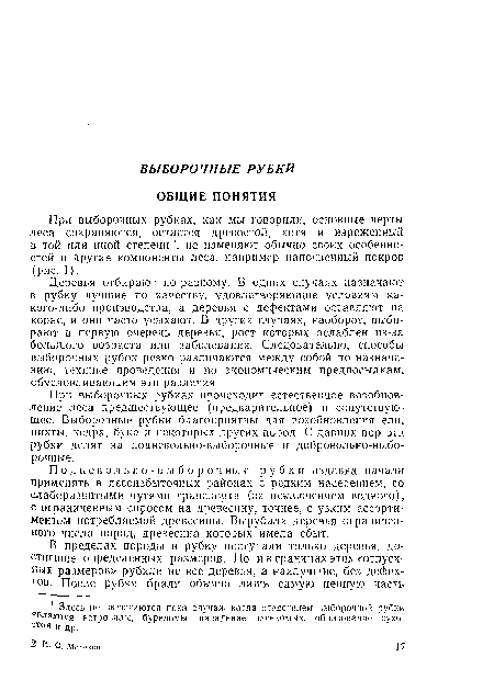 При выборочных рубках, как мы говорили, основные черты леса сохраняются, остается древостой, хотя и изреженный в той или иной степени , не изменяют обычно своих особенностей и другие компоненты леса, например напочвенный покров (рис. 1).