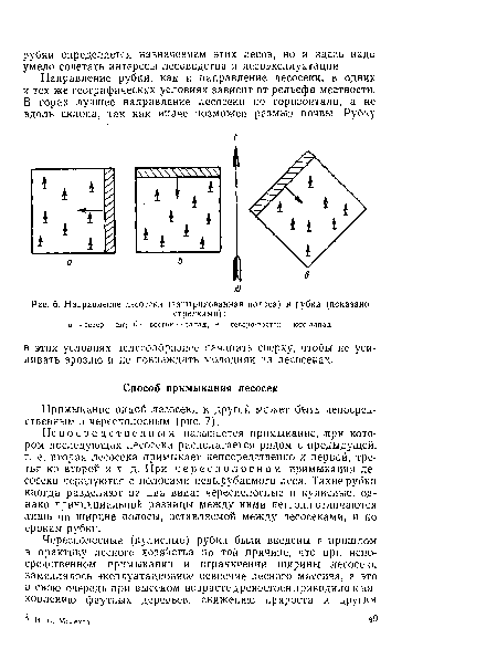 Направление лесосеки (заштрихованная полоса) и рубки (показано