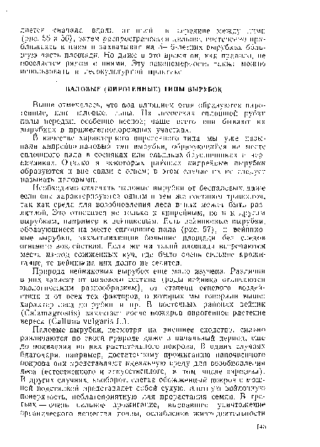 Необходимо отличать паловые вырубки от беспаловых,даже если они характеризуются одним и тем же составом травостоя, так как среда для возобновления леса в них может быть различной. Это относится не только к кипрейным, по и к другим вырубкам, например к вейниковым. Есть вейниковые вырубки, образующиеся на месте сплошного пала (рис. 57), и вейнико-.вые вырубки, захватывающие большие площади без следов огневого воздействия. Если же на такой площади встречаются места из-под сожженных куч, где было очень сильное прожигание, то вейник<на них долго не селится.