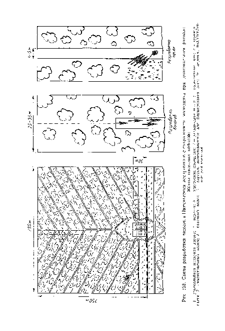 Схема разработки лесосек в Нимепьгском леспромхозе с сохранением молодняка при диагональном расположении пасечных волоков