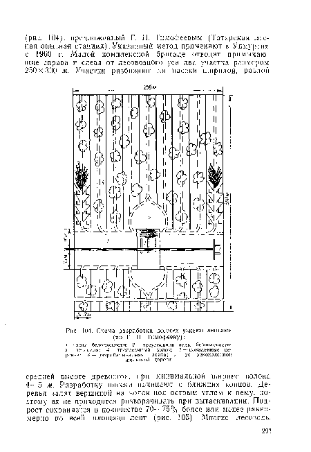 Схема разработки лесосек узкими лентами (по Г. ГГ. Тимофееву)