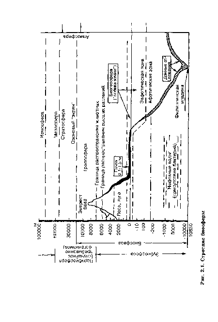 Строение биосферы