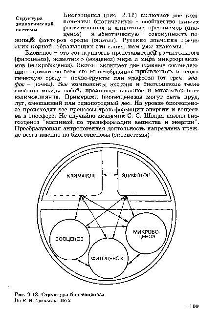 Структура биогеоценоза