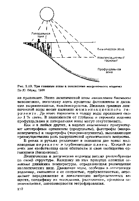 Три главные зоны в экосистеме непроточного водоема