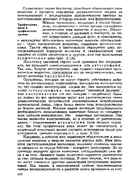 Поскольку растения строят свой организм без посредников, их называют самопитающимися или автотрофами. Так как, будучи автотрофами, они создают первичное органическое вещество, продуцируя его из неорганического, они носят название продуцентов.