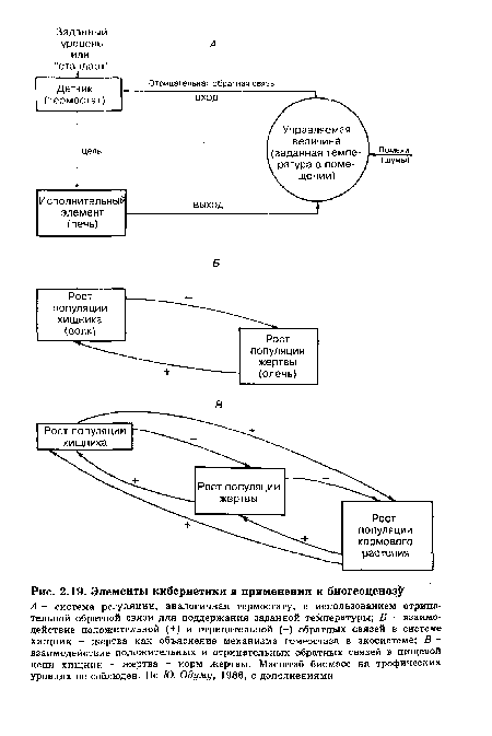 Элементы кибернетики в применении к биогеоценоз^