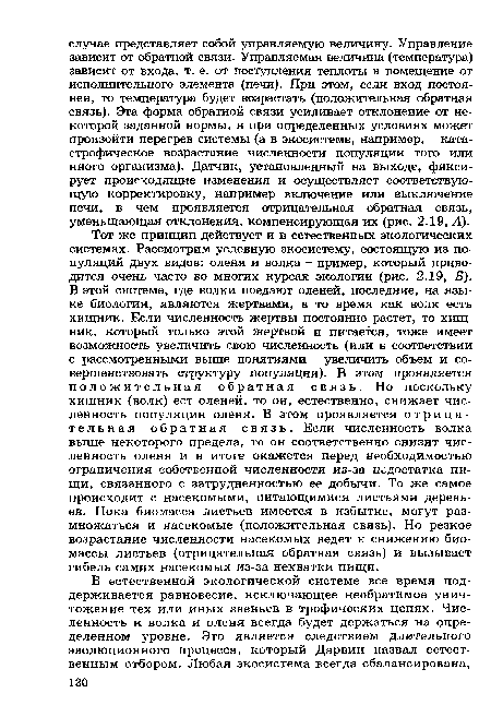 Тот же принцип действует и в естественных экологических системах. Рассмотрим условную экосистему, состоящую из популяций двух видов: оленя и волка - пример, который приводится очень часто во многих курсах экологии (рис. 2.19, Б). В этой системе, где волки поедают оленей, последние, на языке биологии, являются жертвами, в то время как волк есть хищник. Если численность жертвы постоянно растет, то хищник, который только этой жертвой и питается, тоже имеет возможность увеличить свою численность (или в соответствии с рассмотренными выше понятиями - увеличить объем и совершенствовать структуру популяции). В этом проявляется положительная обратная связь. Но поскольку хищник (волк) ест оленей, то он, естественно, снижает численность популяции оленя. В этом проявляется отрицательная обратная связь. Если численность волка выше некоторого предела, то он соответственно снизит численность оленя и в итоге окажется перед необходимостью ограничения собственной численности из-за недостатка пищи, связанного с затрудненностью ее добычи. То же самое происходит с насекомыми, питающимися листьями деревьев. Пока биомасса листьев имеется в избытке, могут размножаться и насекомые (положительная связь). Но резкое возрастание численности насекомых ведет к снижению биомассы листьев (отрицательная обратная связь) и вызывает гибель самих насекомых из-за нехватки пищи.