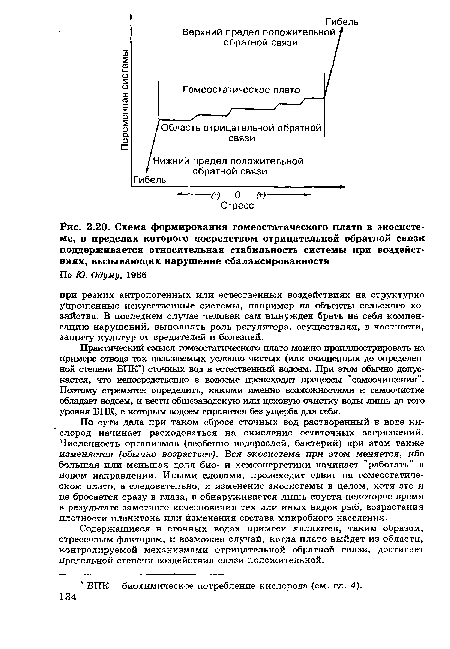 Схема формирования гомеостатического плато в экосистеме, в пределах которого посредством отрицательной обратной связи поддерживается относительная стабильность системы при воздействиях, вызывающих нарушение сбалансированности