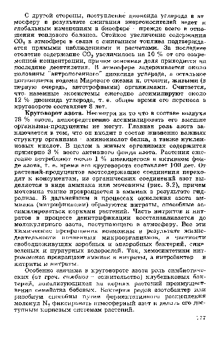 Круговорот азота. Несмотря на то что в составе воздуха 78 % азота, непосредственно ассимилировать его высшие организмы-продуценты не могут. Главная роль азота заключается в том, что он входит в состав жизненно важных структур организма - аминокислот белка, а также нуклеиновых кислот. В целом в живых организмах содержится примерно 3 % всего активного фонда азота. Растения ежегодно потребляют около 1 % имеющегося в активном фонде азота, Т. е. время его круговорота составляет 100 лет. От растений-продуцентов азотсодержащие соединения переходят к консументам, из органических соединений азот выделяется в виде аммиака или мочевины (рис. 3.2), причем мочевина также превращается в аммиак в результате гидролиза. В дальнейшем в процессах окисления азота аммиака (нитрификации) образуются нитраты, способные ассимилироваться корнями растений. Часть нитритов и нитратов в процессе денитрификации восстанавливается до молекулярного азота, поступающего в атмосферу. Все эти химические превращения возможны в результате жизнедеятельности почвенных микроорганизмов, в частности свободноживущих аэробных и анаэробных бактерий, сине-зеленых и пурпурных водорослей. Так, хемосинтетики нит-розомонас превращают аммиак в нитриты, а нитробак тер - в нитриты и нитраты.