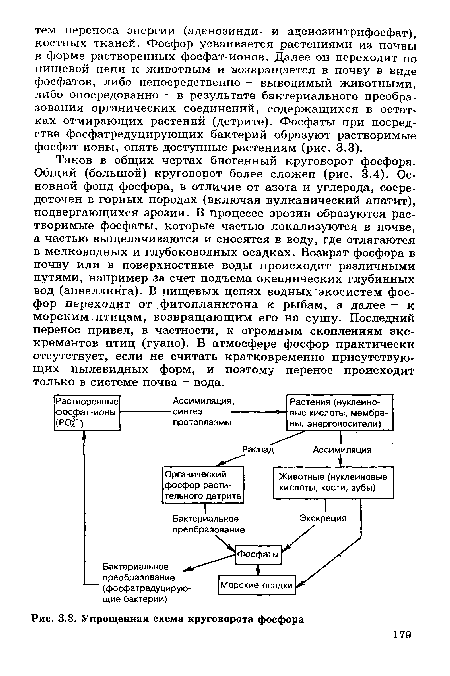 Упрощенная схема круговорота фосфора