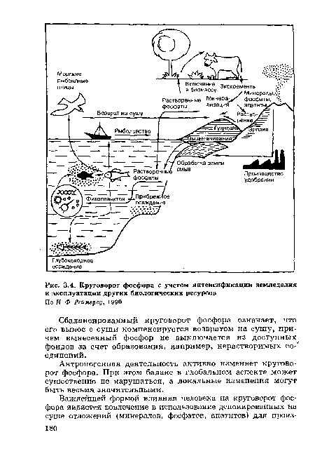 Круговорот фосфора с учетом интенсификации земледелия и эксплуатации других биологических ресурсов