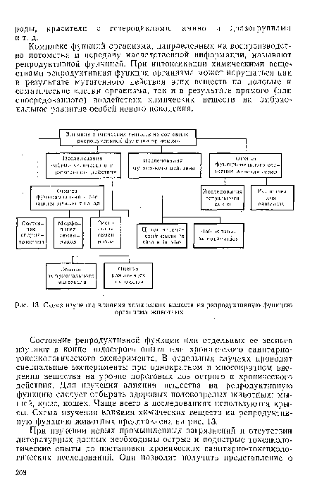 Схема изучения влияния химических веществ на репродуктивную функцию