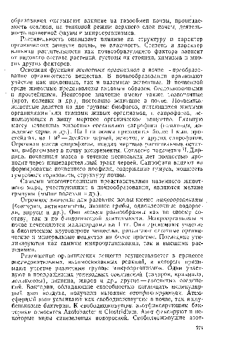 Основная функция животных организмов в иочве — преобразование органического вещества. В почвообразовании принимают участие как почвенные, так и наземные животные. В- почвенной среде животные представлены главным образом беспозвоночными и простейшими. Некоторое значение имеют также позвоночные (крот, полевки и др.), постоянно живущие в почве. Почвенные животные делятся на две группы: биофагов, питающихся живыми организмами или тканями живых организмов, и сапрофагов, использующих в пищу мертвое органическое вещество. Главную массу почвенных животных составляют сапрофагн (нематоды, дождевые черви и др.). На 1 га почвы приходится более 1 млн. простейших, на 1 м2 — десятки червей, нематод и других сапрофагов. Огромная масса сапрофагов, поедая мертвые растительные остатки, выбрасывает в почву экскременты. Согласно подсчетам Ч. Дарвина, почвенная масса в течение нескольких лет полностью проходит через пищеварительный тракт червей. Сапрофаги влияют на формирование почвенного профиля, содержание гумуса, мощность гумусовых горизонтов, структуру почвы.