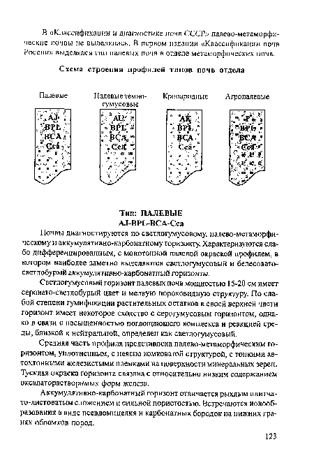 Средняя часть профиля представлена палево-метаморфическим горизонтом, уплотненным, с неясно комковатой структурой, с тонкими автохтонными железистыми пленками на поверхности минеральных зерен. Тусклая окраска горизонта связана с относительно низким содержанием окхалаторастворимых форм железа.