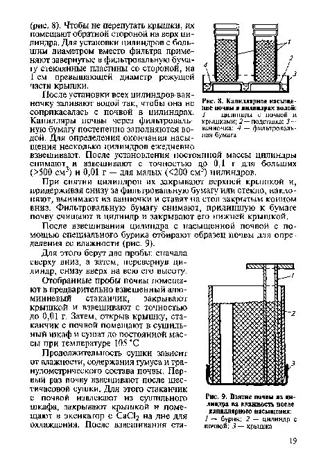 После установки всех цилиндров ванночку заливают водой так, чтобы она не соприкасалась с почвой в цилиндрах.