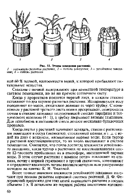 Когда листья у растений начинают завядать, стакан с растениями помещают в сосуд (эксикатор, стеклянный колпак и т. д. с водой на дне) с воздухом, насыщенным парами воды. Если тургор у растений восстанавливается, то их вновь выставляют в светлое помещение. Считается, что почва достигла влажности устойчивого завядания, когда тургор в растениях не восстанавливается после 12-часового пребывания их в атмосфере, насыщенной парами воды. В этом случае растения с комком почвы извлекают из стакана, почву с корней стряхивают в другой стаканчик, взвешивают и определяют влажность почвы весовым методом или ускоренным методом на плитке К. Н. Чижовой.